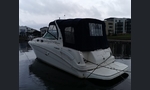 Sea Ray 335-kuva-1